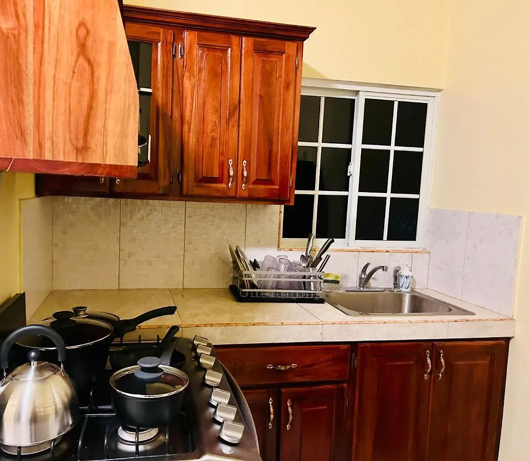 The Rest Stop-B- 15 Min From Airport/24Hrs Security Montego Bay Apartment